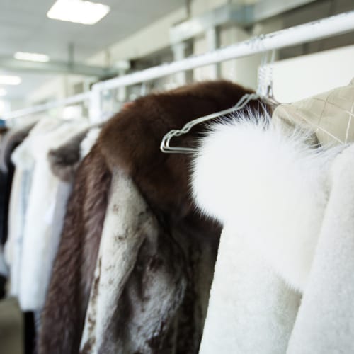 Dry Cleaning
